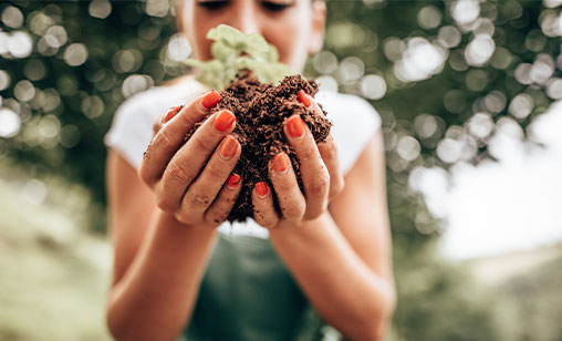 Gardening in Northern NSW with sustainable projects funded by an Eco Personal Loan.